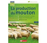 La production du mouton