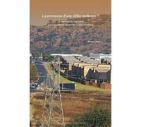 La promesse d'une vi(ll)e meilleure ?: La fabrique du logement pour les classes moyennes à Johannesburg