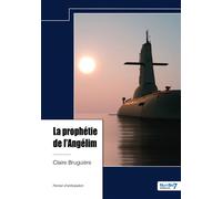 La prophétie de l'Angélim - Claire Bruguière - Nombre 7 - relié - Roman