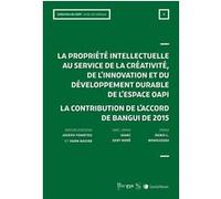 La propriété intellectuelle au service de la créativité et du développement de l'espace OAPI Yann Basire (Auteur), LexisNexis France (Auteur)