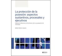 La protección de la posesión: aspectos sustantivos, procesales y ejecutivos