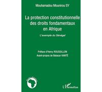 La protection constitutionnelle des droits fondamentaux en Afrique: L'exemple du Sénégal