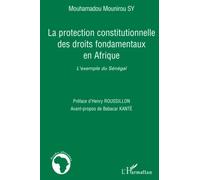 La protection constitutionnelle des droits fondamentaux en Afrique