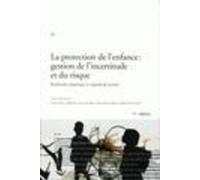La Protection De L'enfance : Gestion De L'incertitude Et Du Risque : Recherche Empirique Et Regards De Terrain