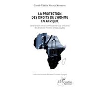 La protection des droits de l'homme en Afrique: L'interaction entre Commission et cour africaines des droits de l'homme et des peuples
