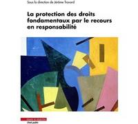 La protection des droits fondamentaux par le recours en responsabilité