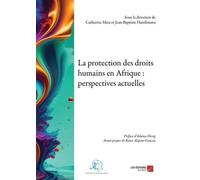 La Protection Des Droits Humains En Afrique : Perspectives Actuelles