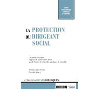 La protection du dirigeant social - Nicolas Borga - Lgdj - broché - Etude