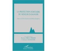 La protection judiciare du mineur en danger. aspects de droit interne et de droits européens