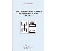 Abraham Bengaly – La protection juridictionnelle des droits de l'homme au Mali – Étude – Broché