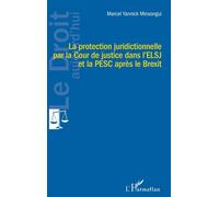 La protection juridictionnelle par la Cour de justice dans l'ELSJ et la PESC après le Brexit - Marcel Yannick Minsongui - L'harmattan - broché - Etude