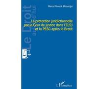 La protection juridictionnelle par la Cour de justice dans l'ELSJ et la PESC après le Brexit - Marcel Yannick Minsongui - L'harmattan - broché - Etude