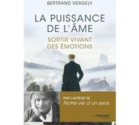 La puissance de l'âme - Sortir vivant de l'émotion Bertrand Vergely (Auteur)
