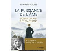 La puissance de l'âme - Sortir vivant de l'émotion - Bertrand Vergely - Tredaniel La Maisnie - broché - Essai