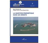 La question énergétique dans les Orients Ata Ayati (Auteur), David Rigoulet-Roze (Auteur)