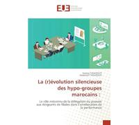 La (r)évolution silencieuse des hypo-groupes marocains :: Le rôle méconnu de la délégation du pouvoir aux dirigeants de filiales dans l'amélioration de la performance