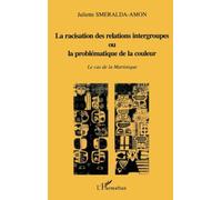 LA RACISATION DES RELATIONS INTERGROUPES OU LA PROBLÉMATIQUE