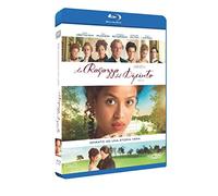 La Ragazza Del Dipinto [Blu-Ray] [Import]