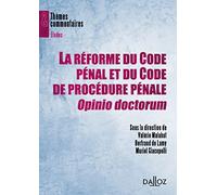 La réforme du Code pénal et du Code de procédure pénale, Opinio doctorum
