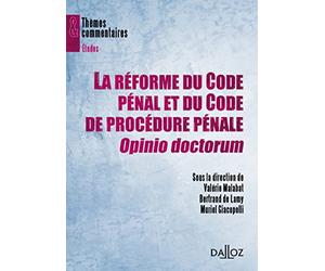 La réforme du Code pénal et du Code de procédure pénale, Opinio doctorum