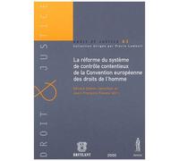 La Réforme Du Système De Contrôle Contentieux De La Convention Européenne Des Droits De L'homme - Le Protocole N°14 Et Les Recommandations Et Résolutions Du Comité Des Ministres