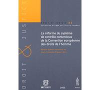 La Réforme Du Système De Contrôle Contentieux De La Convention Européenne Des Droits De L'homme - Le Protocole N°14 Et Les Recommandations Et Résolutions Du Comité Des Ministres