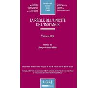 La règle de l'unicité de l'instance Prix de thèse de l'association française de droit du travail et de la sécurité s - Vincent Orif - Lgdj - broché - Etude