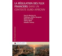La régulation des flux financiers dans un contexte euro-africain