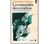 La remontée des cendres: Suivi de Non identifiés