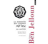 La Remontée des cendres: suivi de Non identifiés