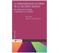 La Rémunération En Droit De La Sécurité Sociale - Des Indemnités Diverses À L'allocation De Mobilité