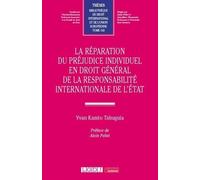 La réparation du préjudice individuel en droit général de la responsabilité internationale de l'État (143)