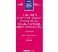 La réparation du préjudice individuel en droit général de la responsabilité internationale de l'État Yvan Kamto Tabuguia (Auteur)