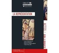 La représentation Michel Boudot (Auteur), Didier Veillon (Auteur), Marianne Faure-Abbad (Auteur)