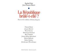 La république brûle-t-elle? essai sur les violence urbaines françaises