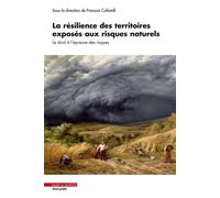 La résilience des territoires exposés aux risques naturels Le droit à l'épreuve des risques - François Cafarelli - Mare & Martin - broché - Etude