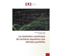 La resolution numerique de certaines equations aux derivees partielles - Belamfedel Safae - Universitaires Europeennes - broché - Essai