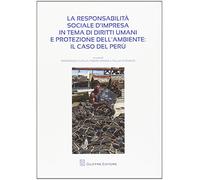 La responsabilità sociale d'impresa in tema di diritti umani e protezione dell'ambiente. Il caso del Perù