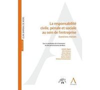 La responsabilité civile, pénale et sociale au sein de l'entreprise Collectif (Auteur)