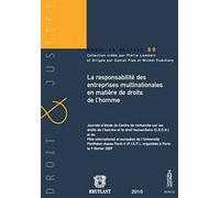 La Responsabilité des entreprises multinationales