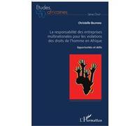 Responsabilité des entreprises multinationales en Afrique – Droits de l'homme : opportunités & défis