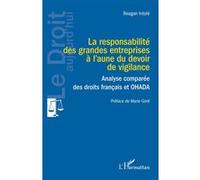 La responsabilité des grandes entreprises à l’aune du devoir de vigilance Reagan Intolé (Auteur), Marie Goré (Préface)