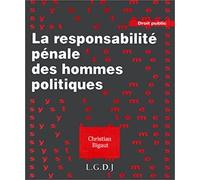 la responsabilité pénale des hommes politiques