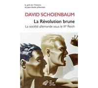 La révolution brune: La société allemande sous le IIIe Reich