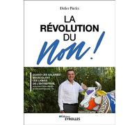 La révolution du non ! Quand les salariés bousculent les lignes de l'entreprise, assument leurs envies et décident de leur vie