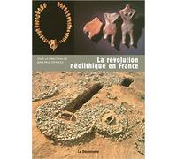 La révolution néolithique en France de Jean-Paul DEMOULE (Sous la direction de) ( 19 avril 2007 )