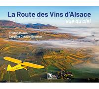 La Route des Vins d'Alsace, vue du ciel