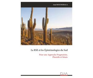 La RSE et les Épistémologies du Sud: Pour une Approche Pragmatiste, Plurielle et Située