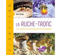 La Ruche-tronc - Une apiculture d'accompagnement des abeilles