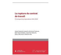 La Rupture Du Contrat De Travail - Chronique De Jurisprudence 2016-2020